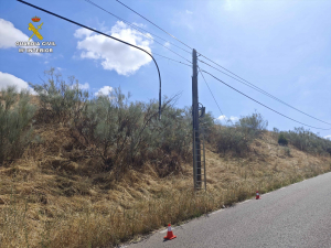 Dos detenidos personas por robo de cable del tendido telefónico en El Casar