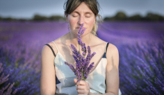 CERTAMEN PAISAJES DE LAVANDA: Tu mejor foto puede tener premio