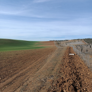 APAG estalla ante una fauna silvestre descontrolada que hace 