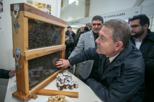 Pastrana inaugura su XLIV Feria Apícola, un 