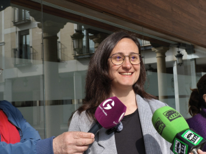 El PSOE Guadalajara cuestiona a la alcaldesa por el gasto de 2 millones de euros en alumbrado para fiestas