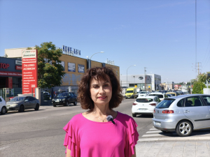 Guadalajara preguntará a Guarinos en pleno por las medidas que tomará para reducir la peligrosidad en calle Méjico