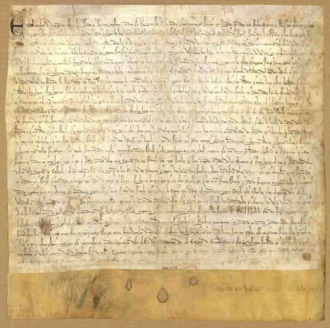 La carta plomada de Fernando IV de 1295, documento del mes del Archivo Municipal de Guadalajara