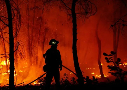 La ingeniera de Montes de Orea, Marta Corella, lanza un mensaje concienciador sobre los incendios