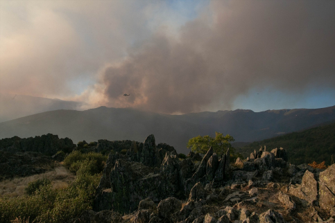 La lluvia aplaca el fuego de Peñalba tras 3.000 ha arrasadas