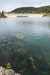 Las reservas de Entrepeñas y Buendía bajan esta semana y se sitúan al 49,36% de su capacidad