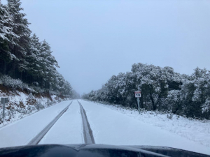 La Junta advierte: Nieve a cualquier cota en Guadalajara por la borrasca Francis