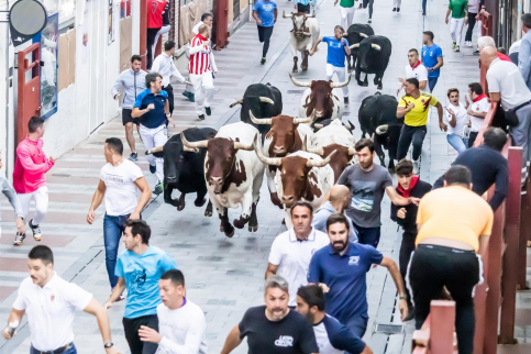 Guadalajara inicia la licitación para la organización de los festejos taurinos en la ciudad durante 2026 y 2027