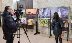 Los paisajes de la lavanda a tu alcance en la iglesia de San Miguel