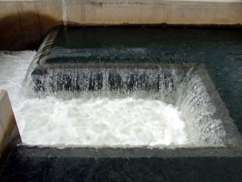 La MAS incrementa su suministro para garantizar el abastecimiento