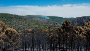 El incendio de La Mierla queda oficialmente extinguido tras 51 días de emergencia
